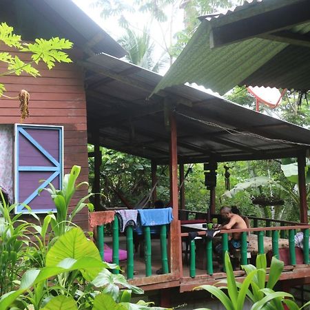 Blue Butterfly Hotel Puerto Viejo de Talamanca Exterior foto